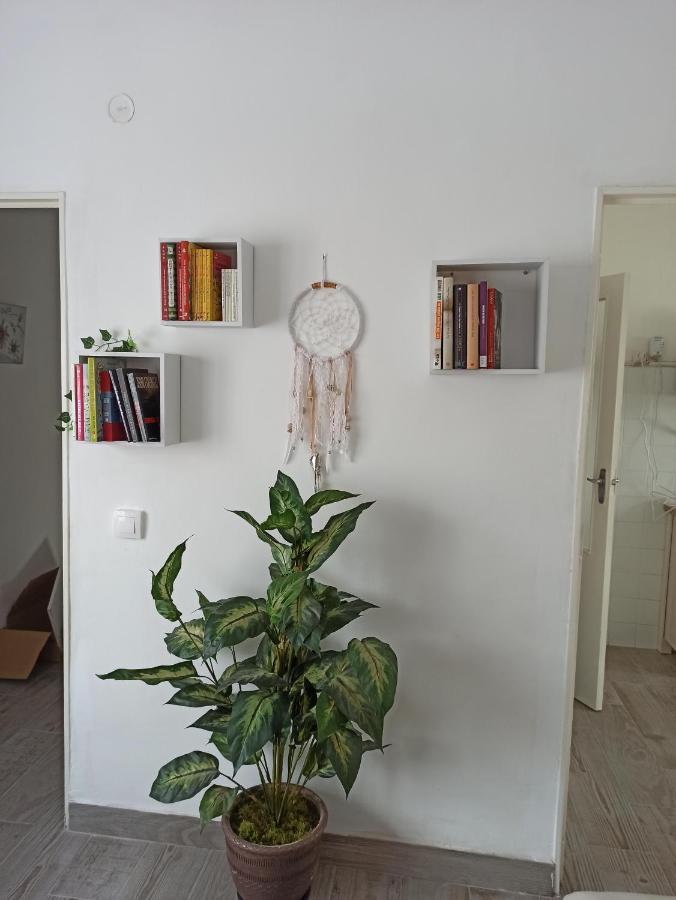 Apartamento Elizondo Giltxaurdi Exterior photo